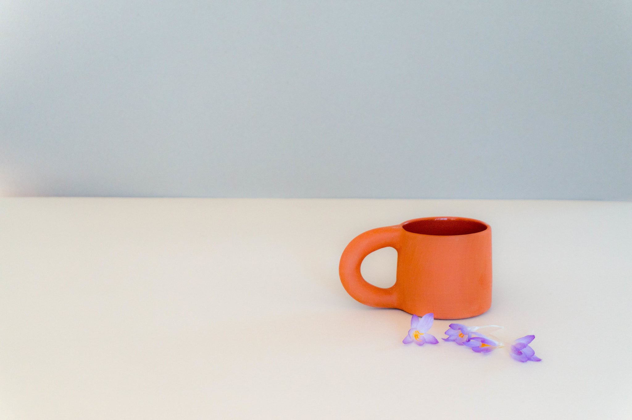 Terra Cotta Mug