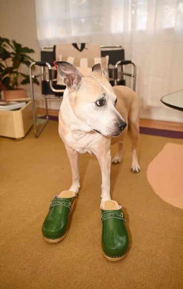 Bridget Clog