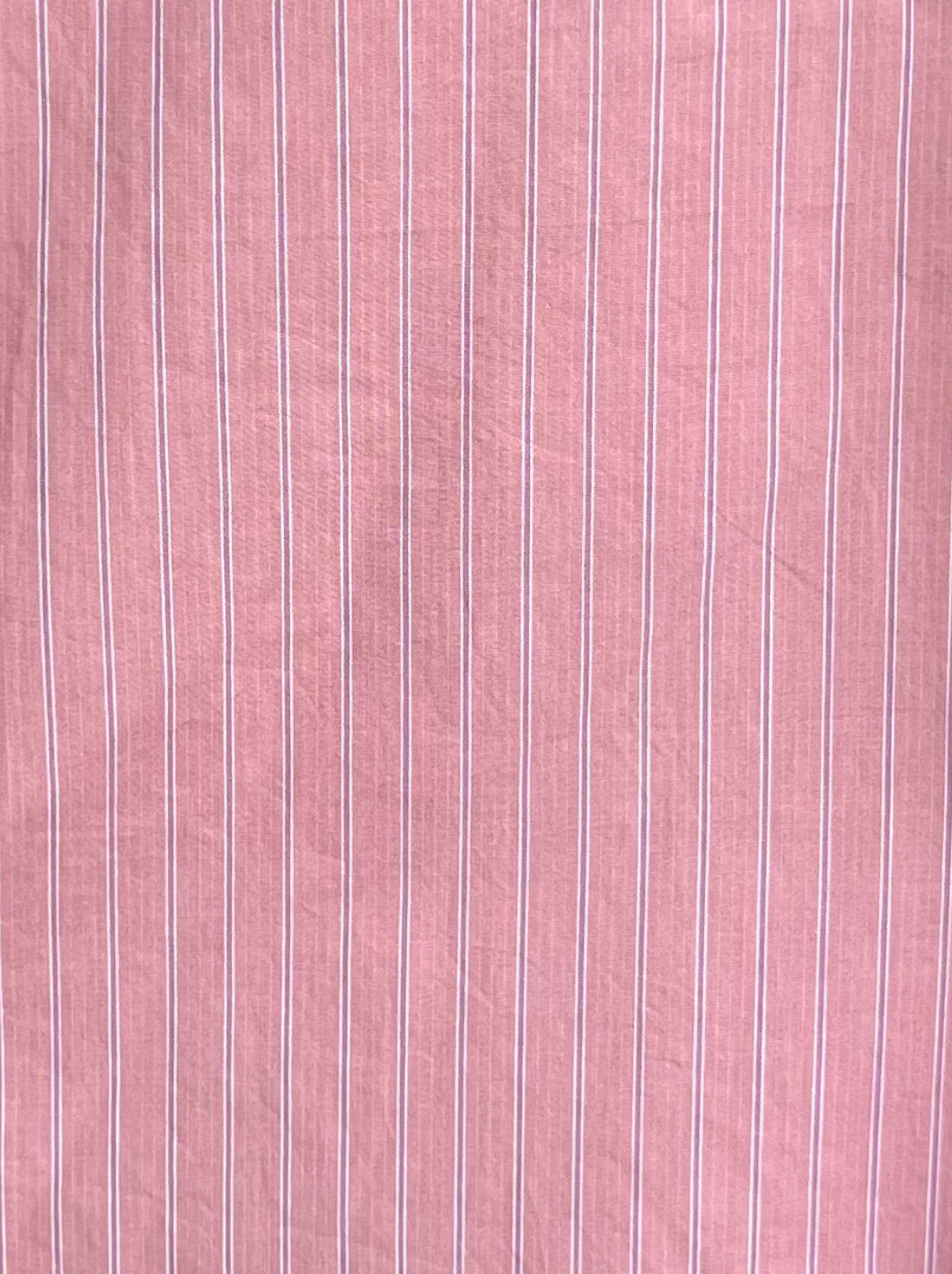 Placket Short Set